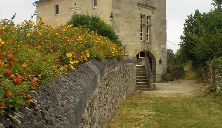 0002_Walking-tour-Bordeaux-vineyards-13-allege