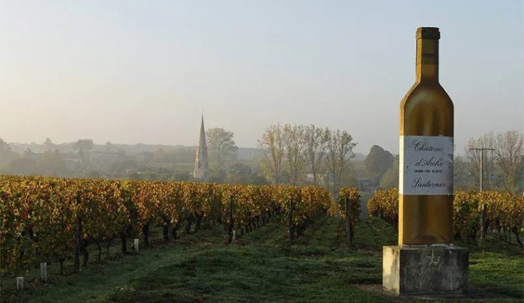 0006_Walking-tour-Bordeaux-vineyards-4-allege