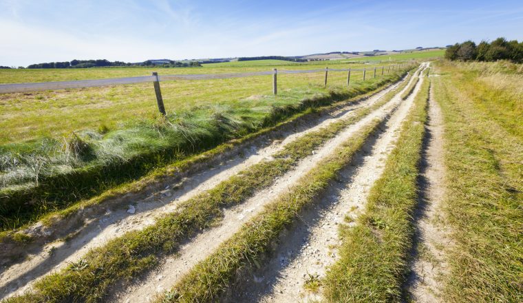 Ridgeway Path on Marlborough Downs