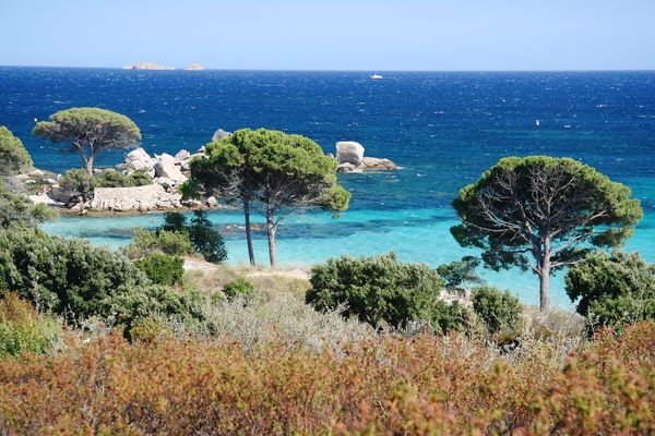 palombaggia, porto vecchio