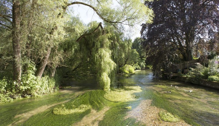 River test flowing through Hampshire England UK