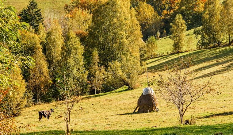 Countrysite in Romania