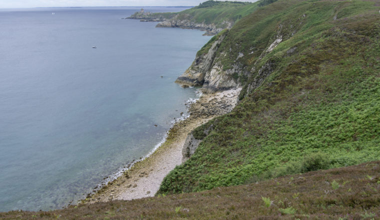 White cliffs covered with green grass