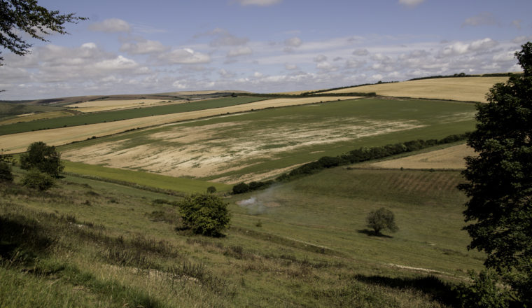 Downland view with bonfire