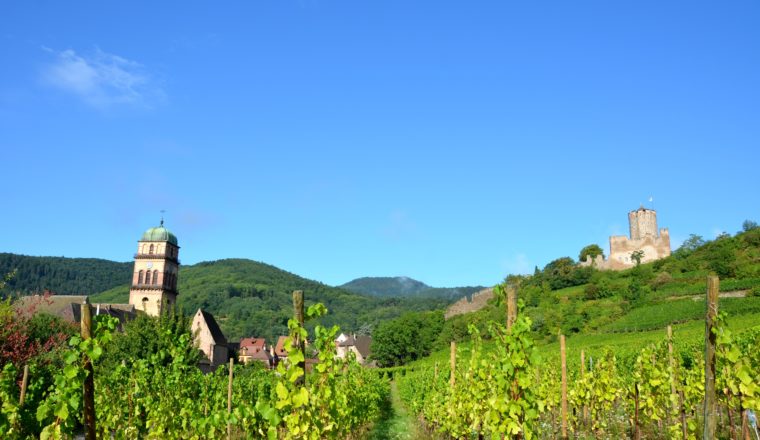 Alsace – a Walk Through the Kayserberg Valley