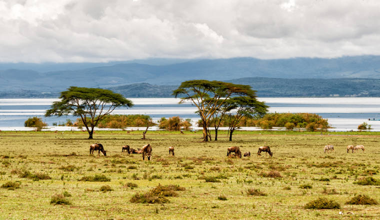 Private: Kenya Walking Safari