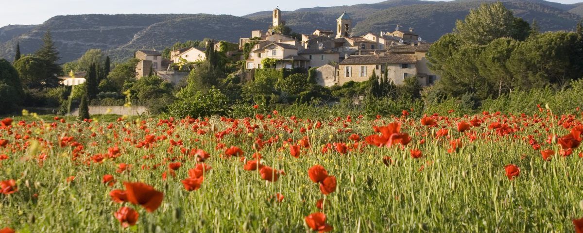 Walking the South of France: A Deep Dive into Provence & the Verdon Gorge