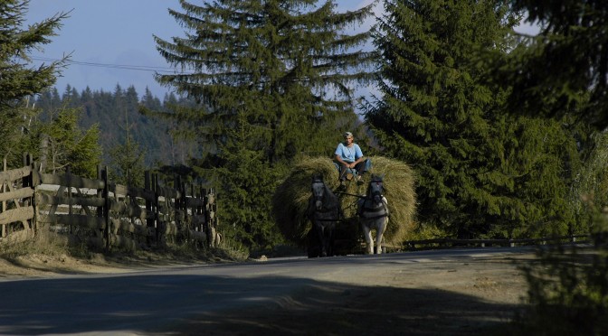 Private: The Painted Monasteries of Romania and The Land of Silence