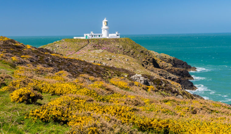 Strumble Head Lighthouse Wales