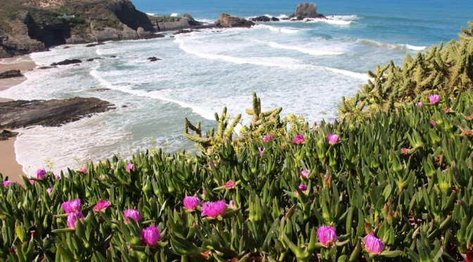 The Coastal Alentejo