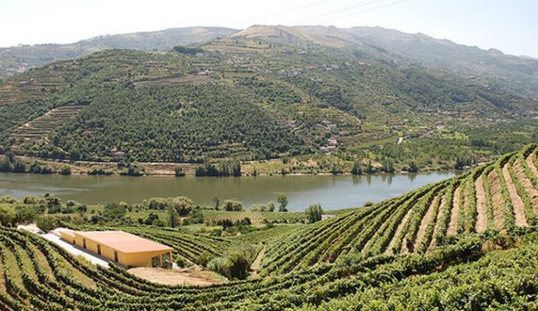 The Douro