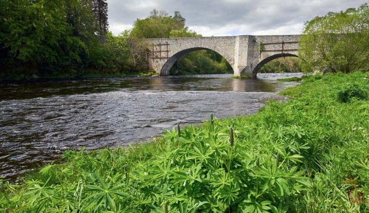 Old Stone Bridge