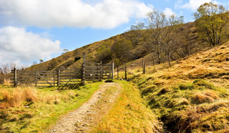 Landscape view over sheep gate and road in farmland. West Highla