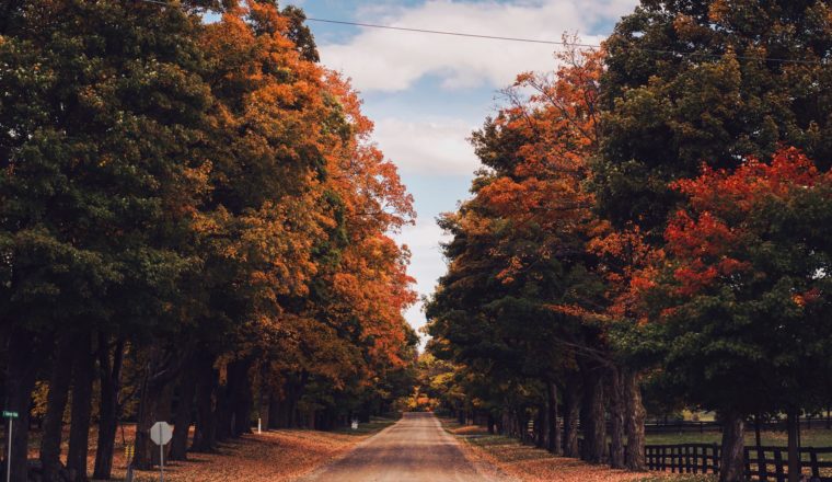 The 6 Most Spectacular Places In The U.S. To See Autumn Colours