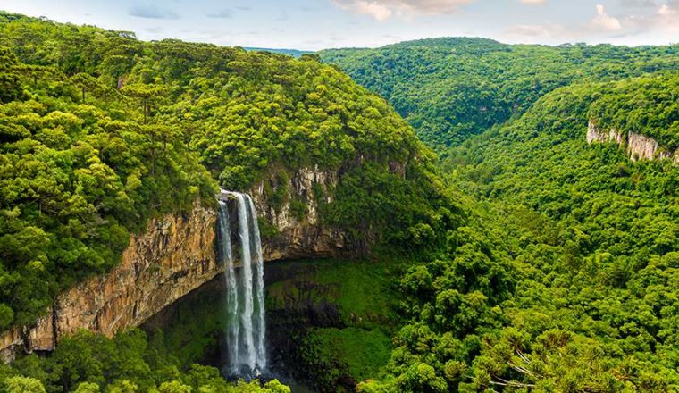 5 of the Best Jungle and Rainforest Walks on the Planet