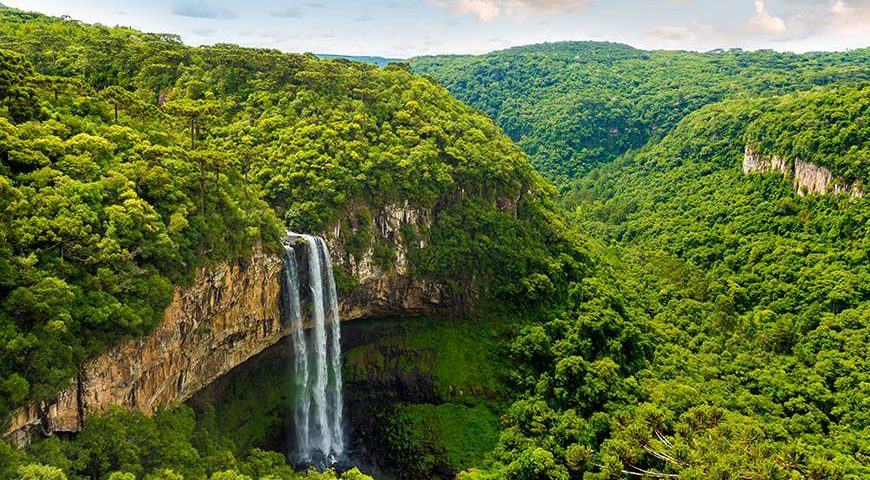 5 of Best Jungle and Rainforest Walks on the Planet