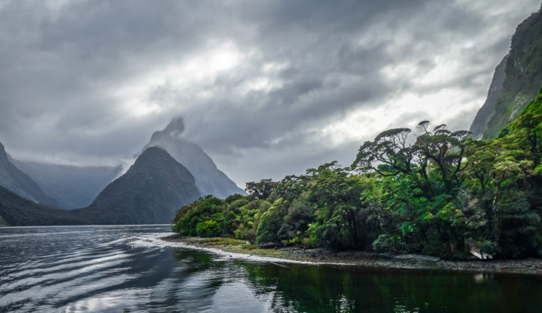 Is New Zealand Becoming the Walking Capital of the World?