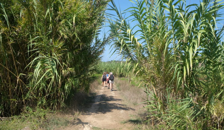 trekking I slow you 22