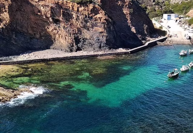 d7bed8_216a48eb36d944289f559415d6969af9~mv2