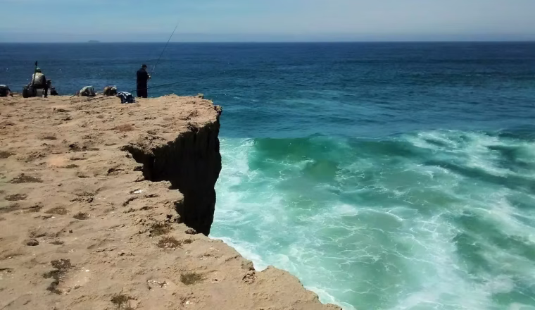 d7bed8_4deb214dc0464d9da058a189e260bb59~mv2