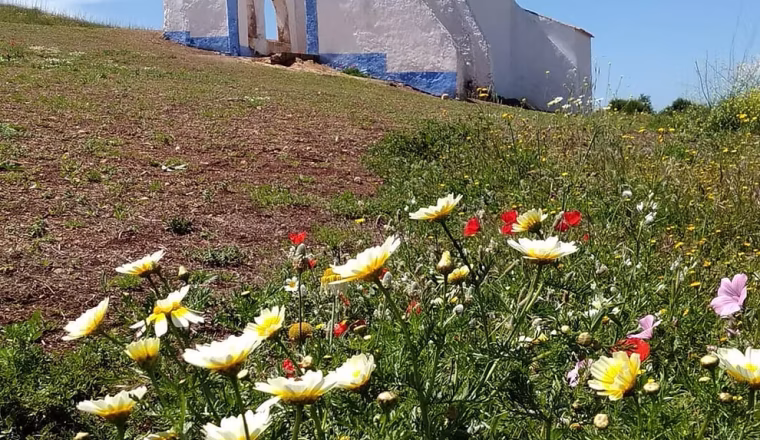 d7bed8_b0a49e57f64944ad89e9fbd8756107e3~mv2