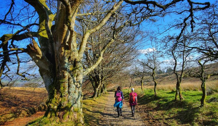 vishnu-prasad-2jEylU2FHIM-unsplash