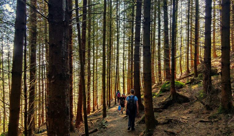 vishnu-prasad-3FzxGijGPiM-unsplash