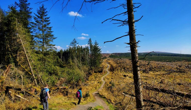 vishnu-prasad-exBKYHuOFSA-unsplash