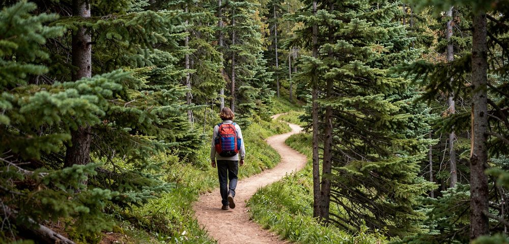 The Solo Walker’s Guide to Self-Guided Travel: Safety, Logistics, and Confidence