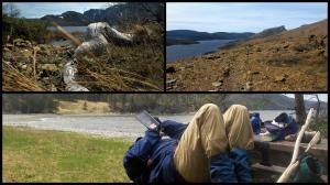 Ann Hutchings - Magical Newfoundland at the Tablelands , windswept, rugged, tundra to seascapes, diverse and beautiful and always a picnic table just when you need it!