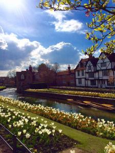 Kim Mears - England while walking The Pilgrims Way 