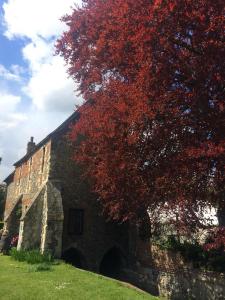 David Steinberg - Canterbury, England, during World Walks Pilgrim's Way walk from Rochester to Canterbury