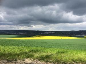 David Steinberg - Rochester, England, during World Walks Pilgrim's Way walk from Rochester to Canterbury 