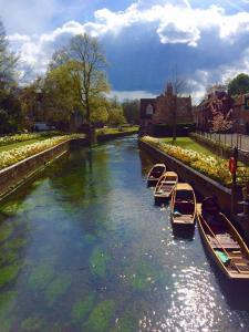 Kim Mears - Canterbury England while walking The Pilgrims Way 