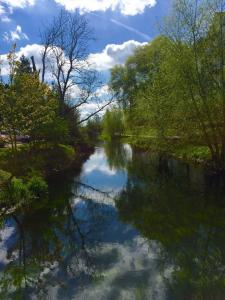 Kim Mears - England while walking The Pilgrims Way