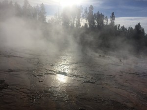 Yellow Stone National Park 