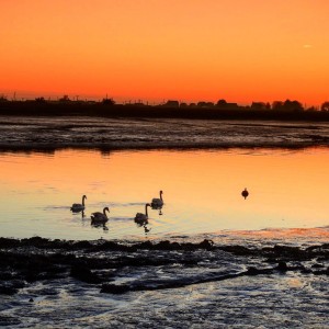 Winter Sunset